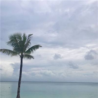 澳门银银河官方网welcome